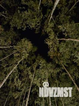 Дом 70м², 2-этажный, посуточно,