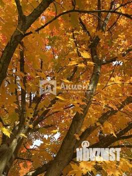 Дом 147м², 2-этажный, участок 4 сот.