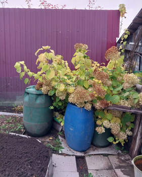 Дом 33м², 1-этажный, участок 1 сот.