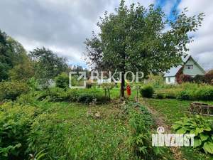 Дом 55м², 1-этажный, участок 6 сот.