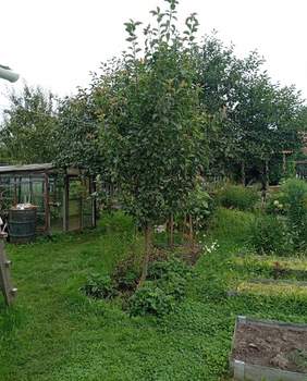 Дом 70м², 1-этажный, участок 6 сот.