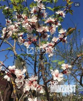 Дом 26м², 1-этажный, участок 6 сот.