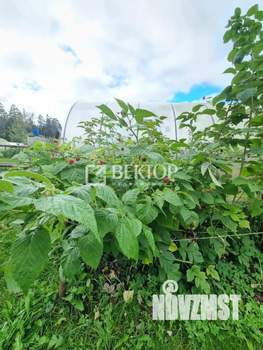 Дом 55м², 1-этажный, участок 6 сот.