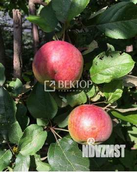 Дом 26м², 1-этажный, участок 6 сот.