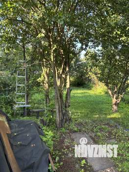 Дом 53м², 1-этажный, участок 5 сот.