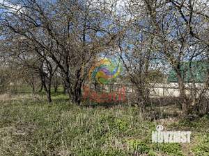 Дом 50м², 1-этажный, участок 12 сот.