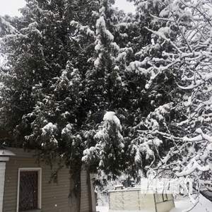 Дом 47м², 1-этажный, участок 5 сот.