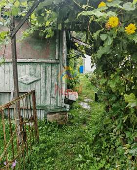 Дом 12м², 1-этажный, участок 5 сот.