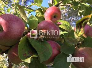 Дом 26м², 1-этажный, участок 6 сот.