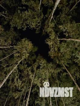 Дом 70м&sup2;, 2-этажный, посуточно, 