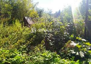 Дом 100м², 1-этажный, участок 7 сот.  