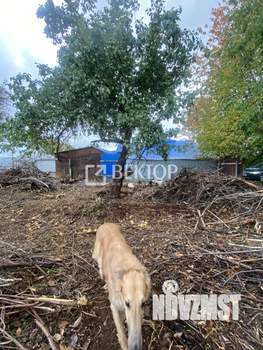 Дом 30м², 1-этажный, участок 7 сот.  