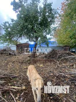 Дом 30м², 1-этажный, участок 7 сот.  