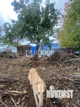 Дом 30м², 1-этажный, участок 7 сот.  