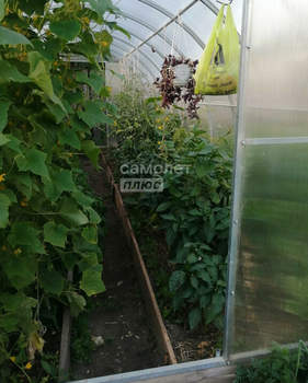 Дом 100м&sup2;, 2-этажный, участок 3 сот.  