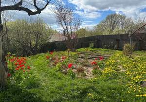 Дом 181м², 1-этажный, участок 15 сот.  