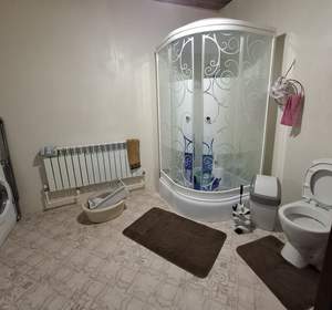 Дом 250м², 2-этажный, участок 19 сот.  