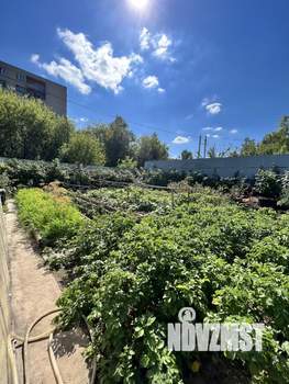 Дом 74м², 1-этажный, участок 8 сот.  