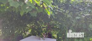 Дом 365м², 1-этажный, участок 15 сот.  