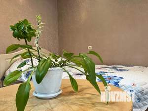 1-к квартира, посуточно, 35м2, 2/5 этаж