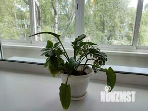 1-к квартира, посуточно, 31м2, 1/1 этаж