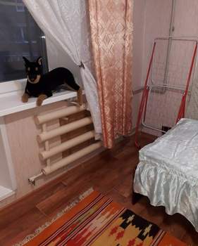 1-к квартира, на длительный срок, 39м2, 6/9 этаж