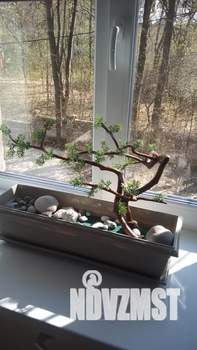 1-к квартира, посуточно, 30м2, 2/4 этаж