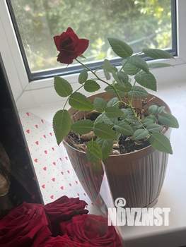 2-к квартира, на длительный срок, 55м2, 3/3 этаж