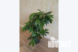 1-к квартира, посуточно, 30м2, 2/18 этаж