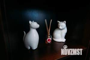 3-к квартира, посуточно, 100м2, 1/1 этаж