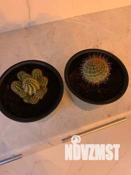 1-к квартира, посуточно, 34м2, 2/14 этаж