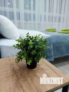 Студия квартира, посуточно, 27м2, 15/17 этаж