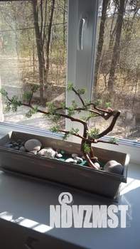 1-к квартира, посуточно, 30м2, 2/4 этаж