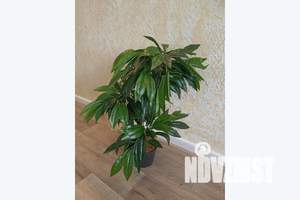 1-к квартира, посуточно, 30м2, 2/18 этаж