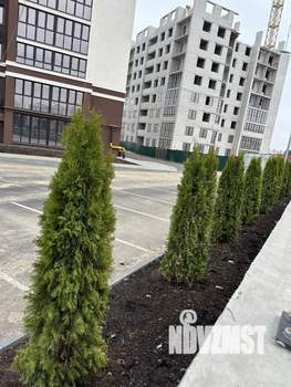 1-к квартира, вторичка, 39м2, 9/14 этаж