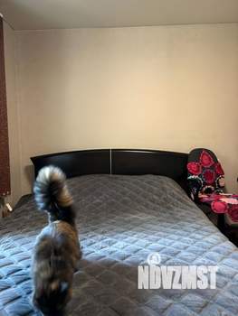 2-к квартира, вторичка, 52м2, 3/5 этаж