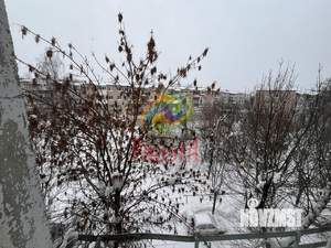 1-к квартира, вторичка, 21м2, 5/5 этаж
