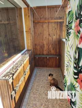 1-к квартира, вторичка, 33м2, 5/5 этаж