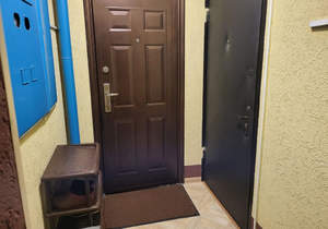 2-к квартира, вторичка, 53м2, 2/9 этаж