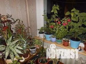 2-к квартира, вторичка, 46м2, 3/5 этаж